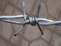 黑河刺绳供应 热镀锌刺线、包塑刺绳与铁蒺藜的全景解析